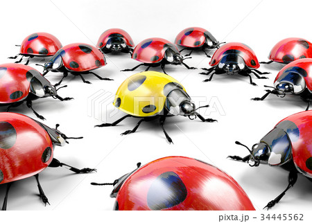 Yellow ladybug surrounded by group of red ladybugs 34445562