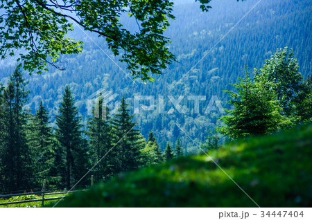 green mountains Carpathians 34447404