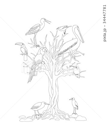 black and white print with tree and tropical birds 34447781