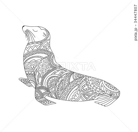 patterned fur seal patterned fur seal 34447807
