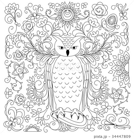 black and white floral owl for adult coloring black and white floral owl for adult coloring 34447809