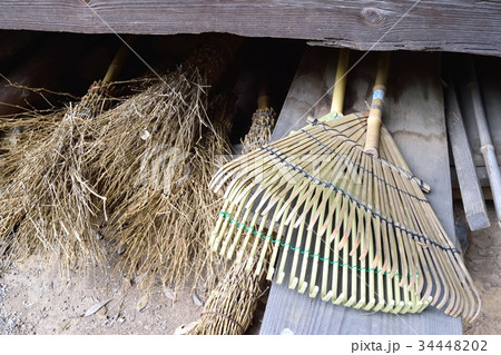 竹ボウキ 34448202