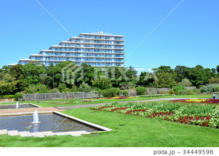 稲毛海浜公園 34449596