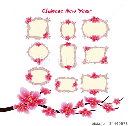 Sakura flowers. Cherry blossom. Year of the dog 34449678