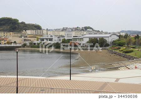 富岡並木ふなだまり公園 34450036