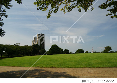 横浜 根岸森林公園 34450272