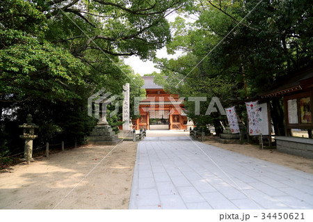 大山祇神社 34450621