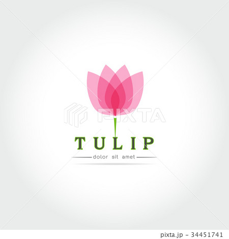 Simple Tulip bud with leaves design 34451741