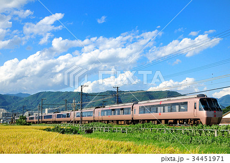 実る田んぼを行く小田急ロマンスカーEXE 34451971