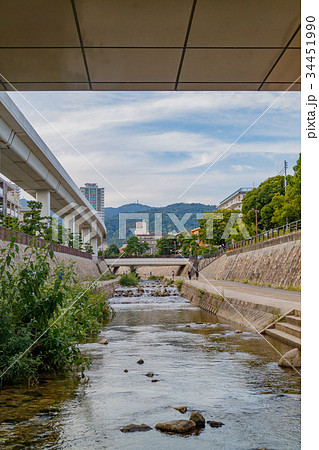 神戸市・住吉川 34451990