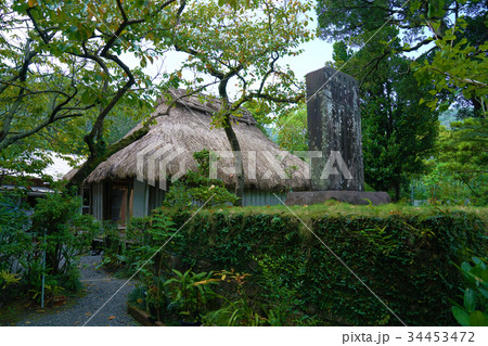 西郷隆盛 奄美大島龍郷町の屋敷跡と石碑 西郷隆盛 奄美大島龍郷町の屋敷跡と石碑 34453472