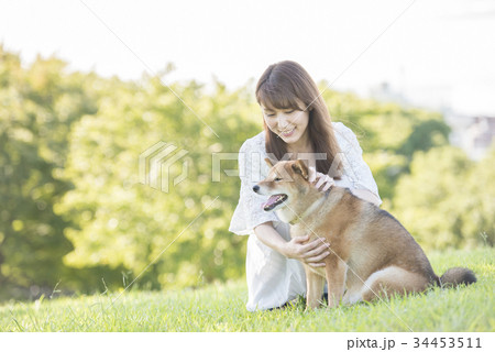 若い女性と柴犬 34453511