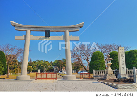 鶴谷八幡宮の大鳥居 34453843