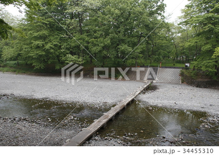 梅雨の巾着田（ドレミファ橋） 34455310