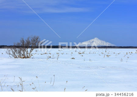 春初のサロベツ原野 春初のサロベツ原野 34456216