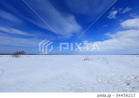 春初のサロベツ原野 34456217