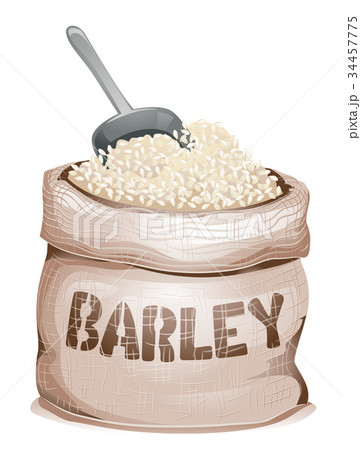 Barley Sack Grain Illustration Barley Sack Grain Illustration 34457775