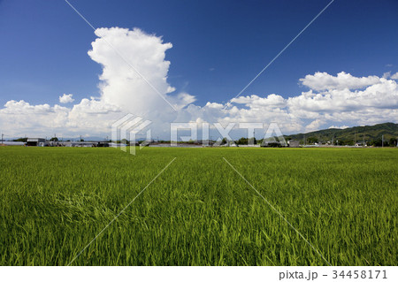 夏の田園風景 34458171