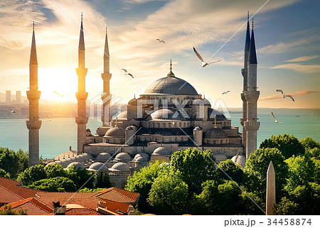 Seagulls over Blue Mosque Seagulls over Blue Mosque 34458874