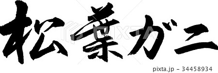 松葉ガニ 34458934