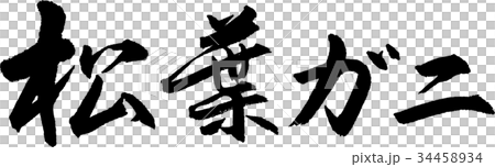 松葉蟹 松葉蟹 34458934