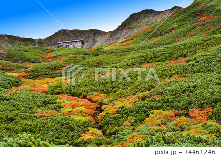 紅葉を迎えた仙丈小屋 34461246