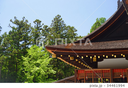 上賀茂神社細殿-4 34461994