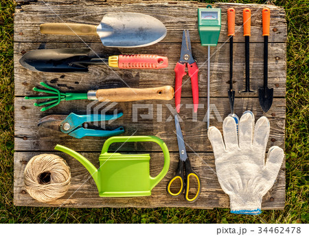 Gardening tools on wooden background flat lay 34462478