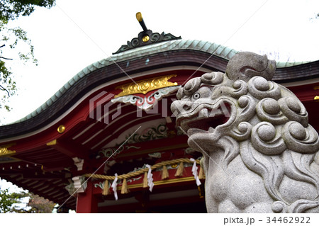 神社ご社殿と狛犬 神社ご社殿と狛犬 34462922