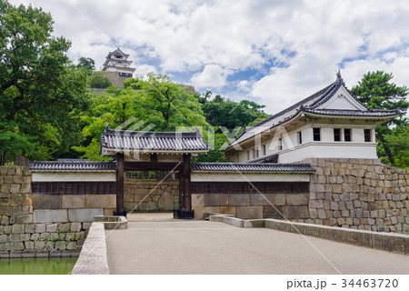 香川 丸亀城 香川 丸亀城 34463720