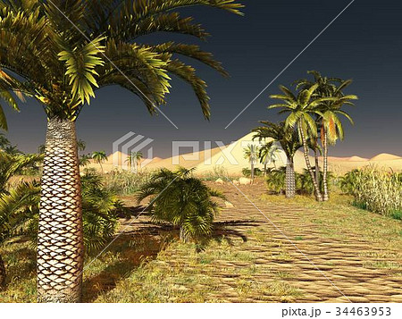 Breathtaking sunrise on the Sahara desert 3d 34463953