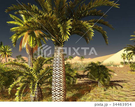 Breathtaking sunrise on the Sahara desert 3d 34463954