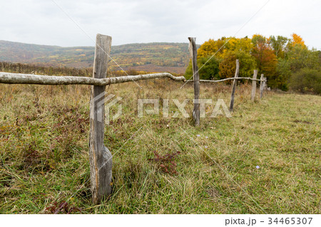 eco lifestyle, country, livestock concept. from 34465307