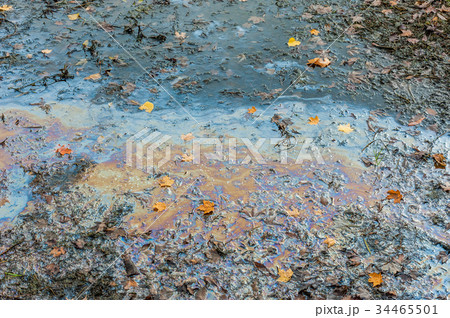 Colorful oil slick spreading on muddy swamp. 34465501