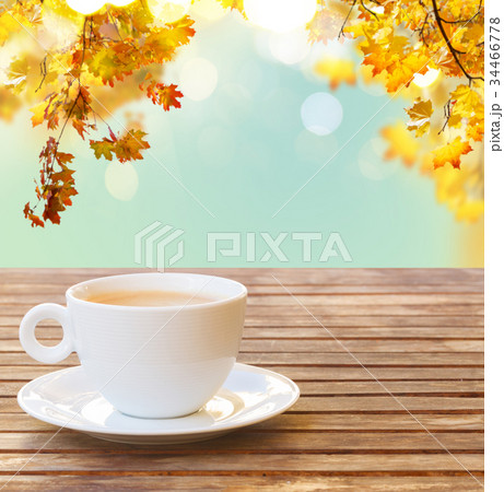 coffee cup in fall garden 34466778