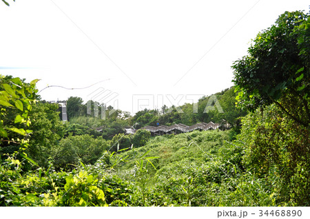 静岡県伊豆恋人岬の写真 静岡県伊豆恋人岬の写真 34468890
