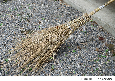 竹ボウキ 34469569