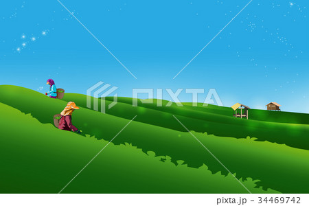 People keep tea leaves vectors People keep tea leaves vectors 34469742