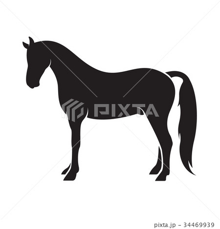 Vector of a horse isolated on white background. 34469939