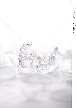 トナカイ トナカイ 34470236