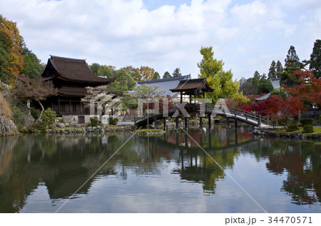 紅葉の虎渓山永保寺　国宝観音堂と無際橋 34470571
