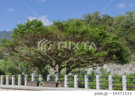 猫村 猴硐 侯硐 34471533