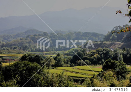 秋の棚田 秋の棚田 34473516