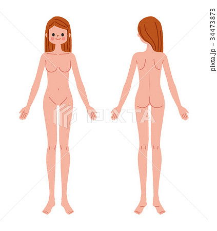 女性 ボディ イラスト 裸のイラスト素材 34473873 Pixta