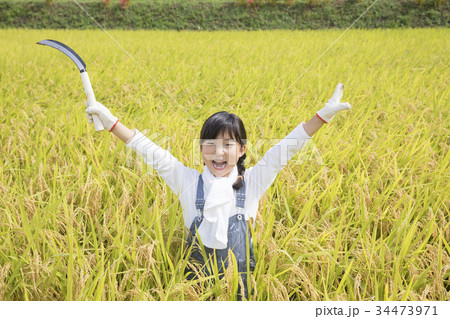 稲刈りをする子供 万歳 ポーズ 稲刈りをする子供 万歳 ポーズ 34473971