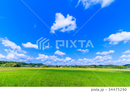 睦沢町上之郷付近を撮影 睦沢町上之郷付近を撮影 34475290