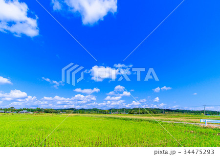 睦沢町上之郷付近を撮影 睦沢町上之郷付近を撮影 34475293