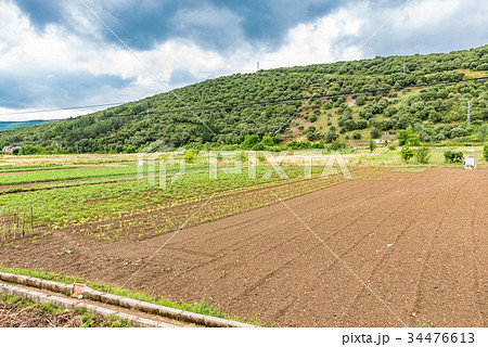 スペイン　カルセード村の風景 34476613