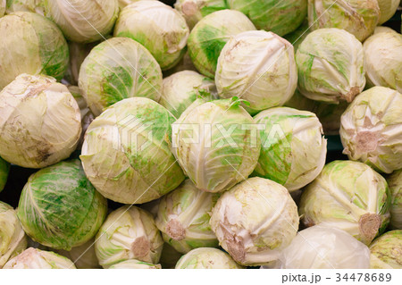 cabbage from field. cabbage background. cabbage 34478689