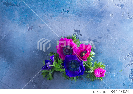 Anemones flowers on stone background Anemones flowers on stone background 34478826